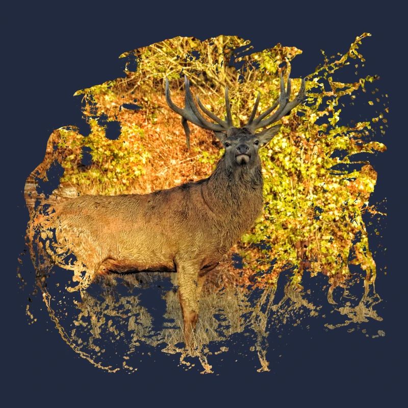 Capital Hirsch released for launch