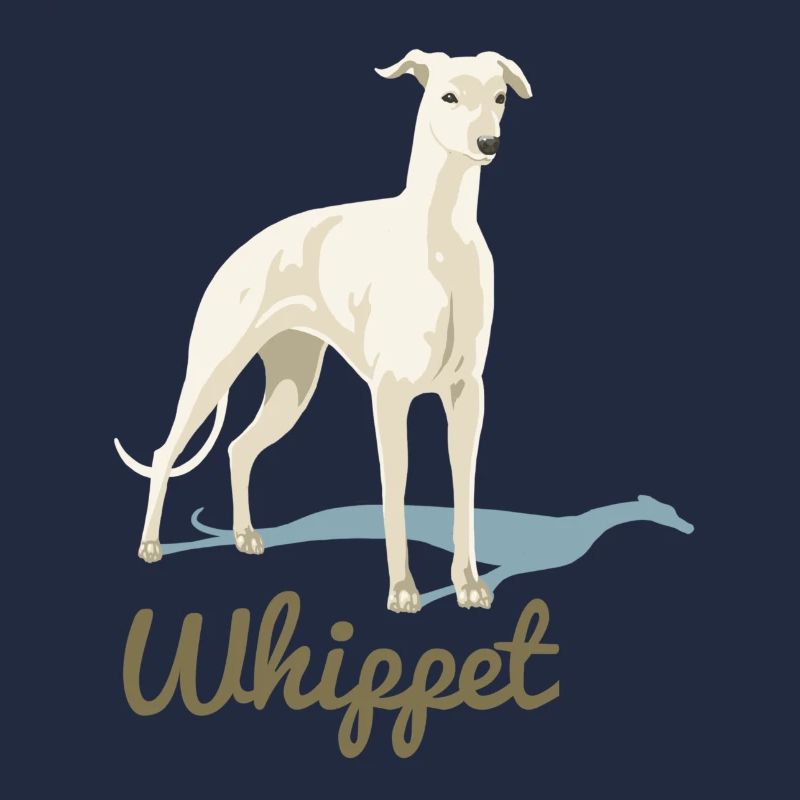 Whippet