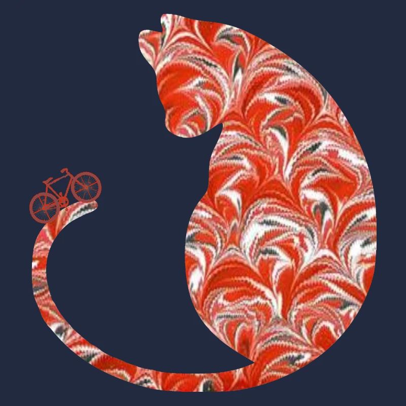 chat à vélo e 231