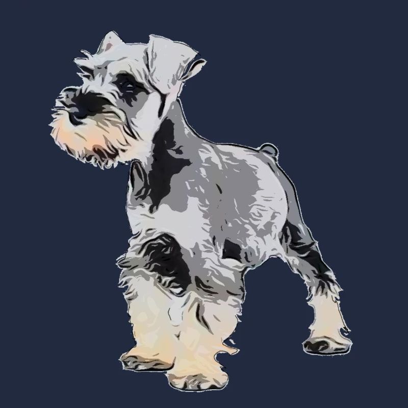 Schnauzer miniature 1