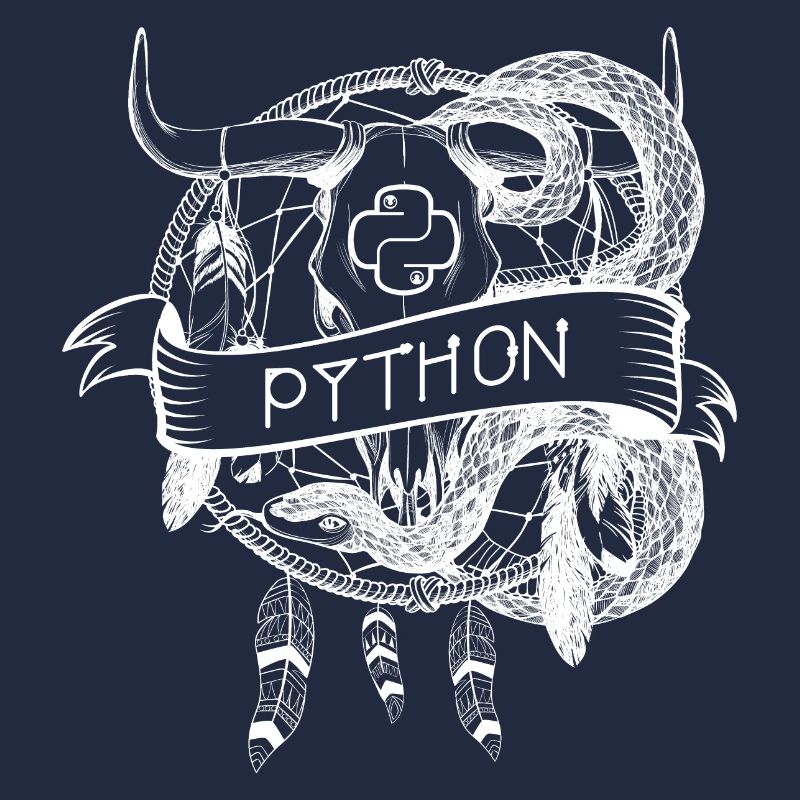 python Programmiersprache technologie