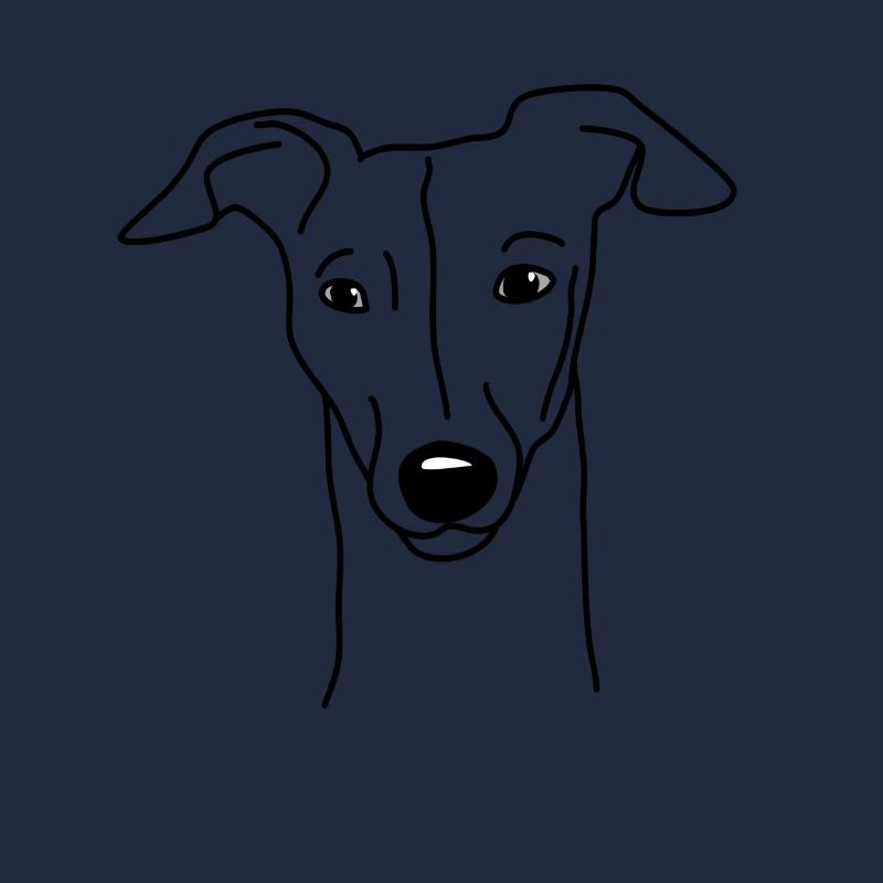 Whippet