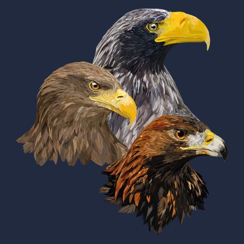 Oiseaux de proie