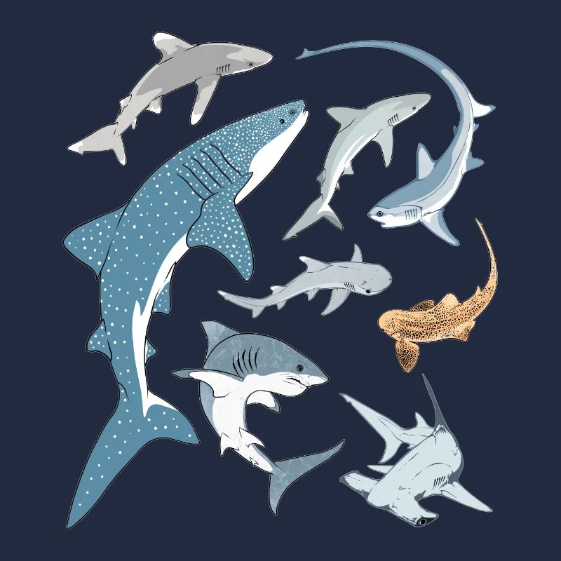 Types de requins Espèces de requins