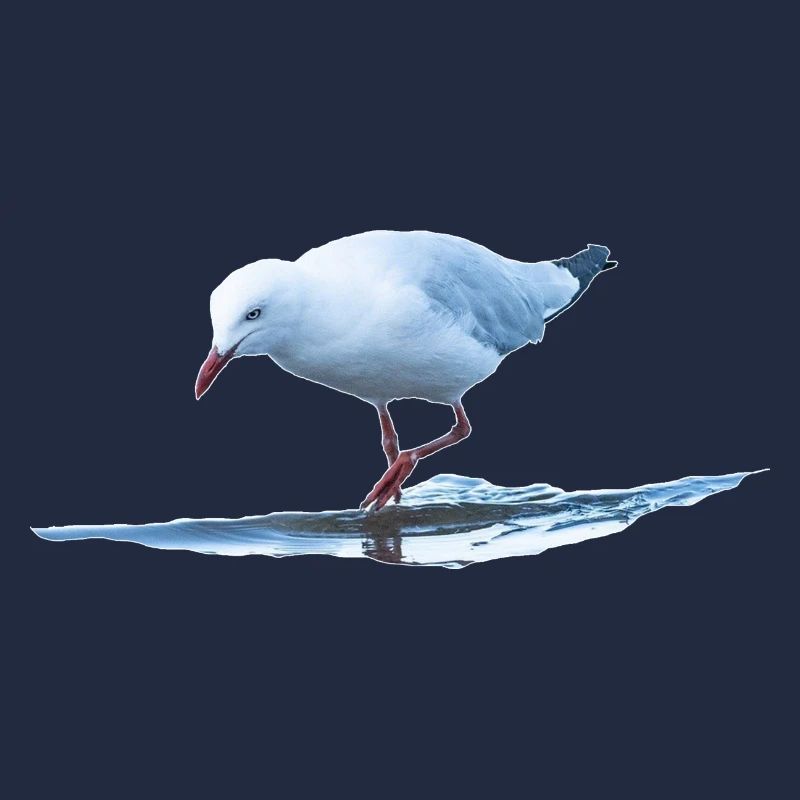 Seemöwe