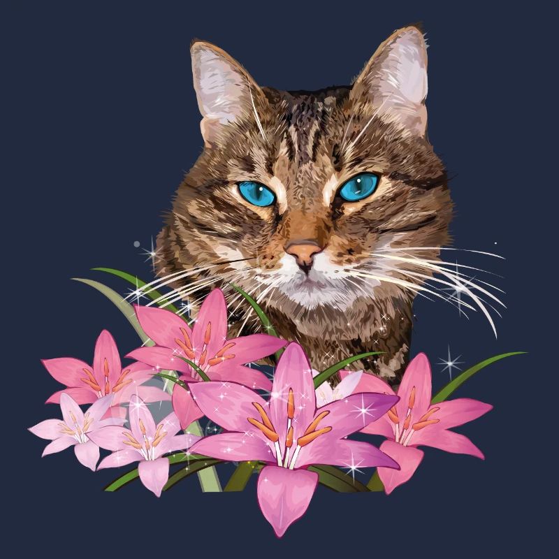 Chat