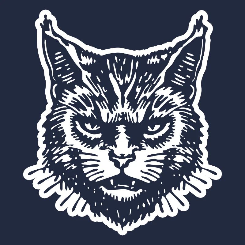 Chat Chats Chat Dame Chat Amoureux Chat Visage