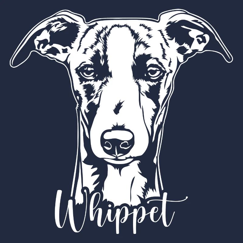 Whippet Portrait Chien Chiens Lévriers Wilsigns