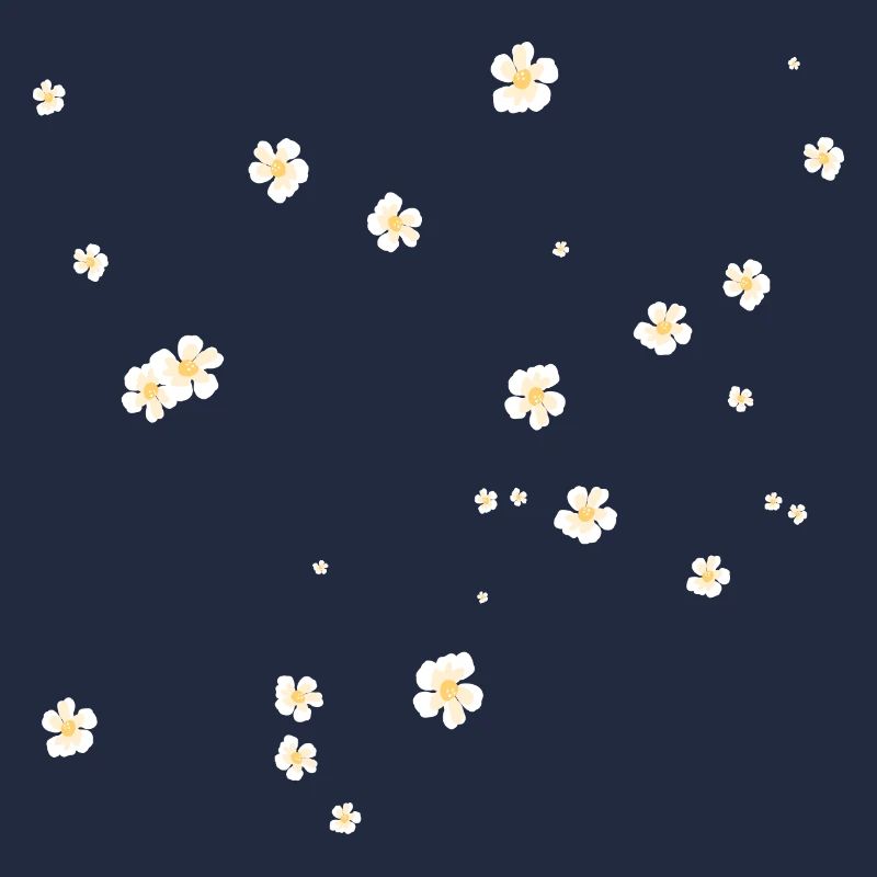 flower chamomile nice gift