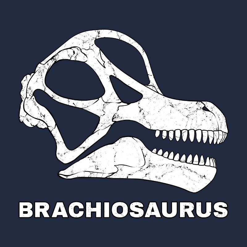 Brachiosaurus Fossil Head