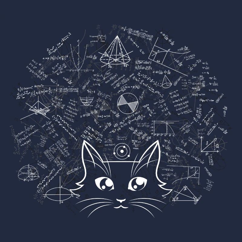 Math cat