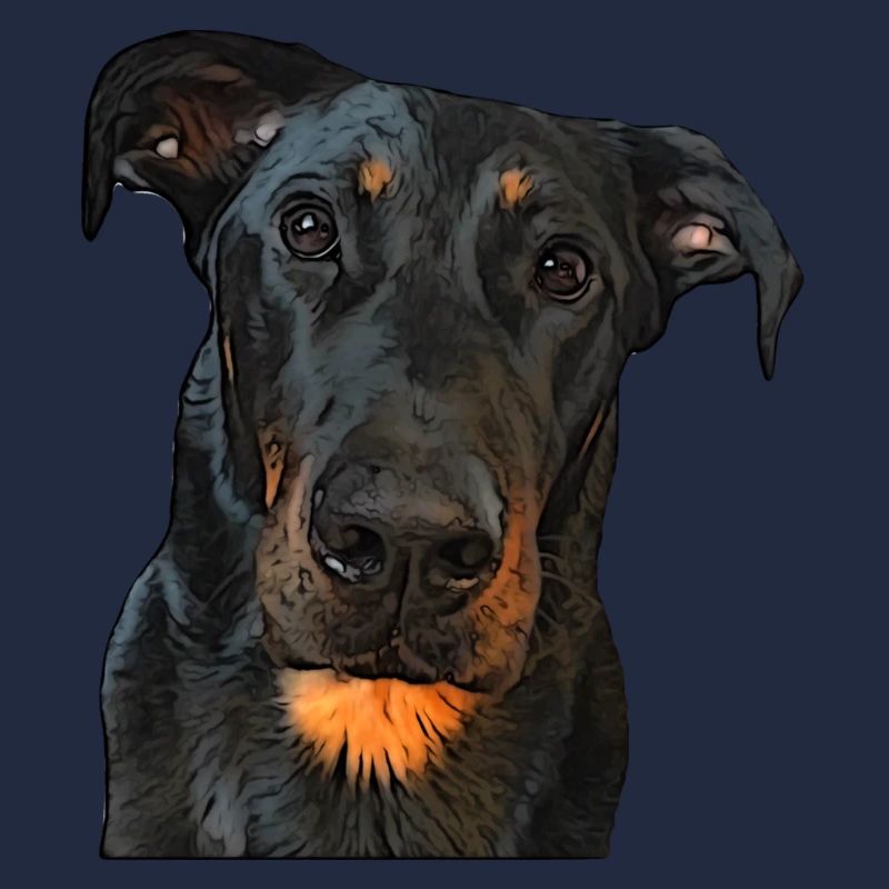 Regard du Beauceron