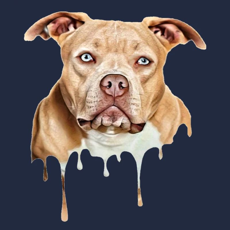 Bully Art American Bully Exotic Bully