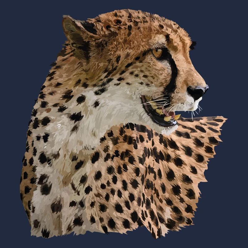 Guépard