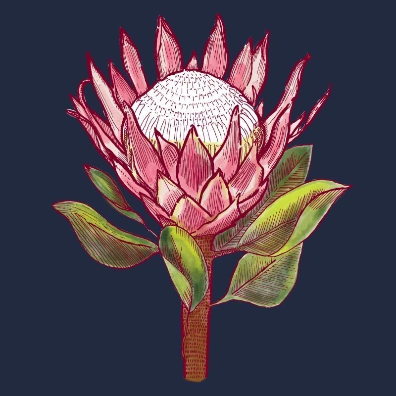 Protea