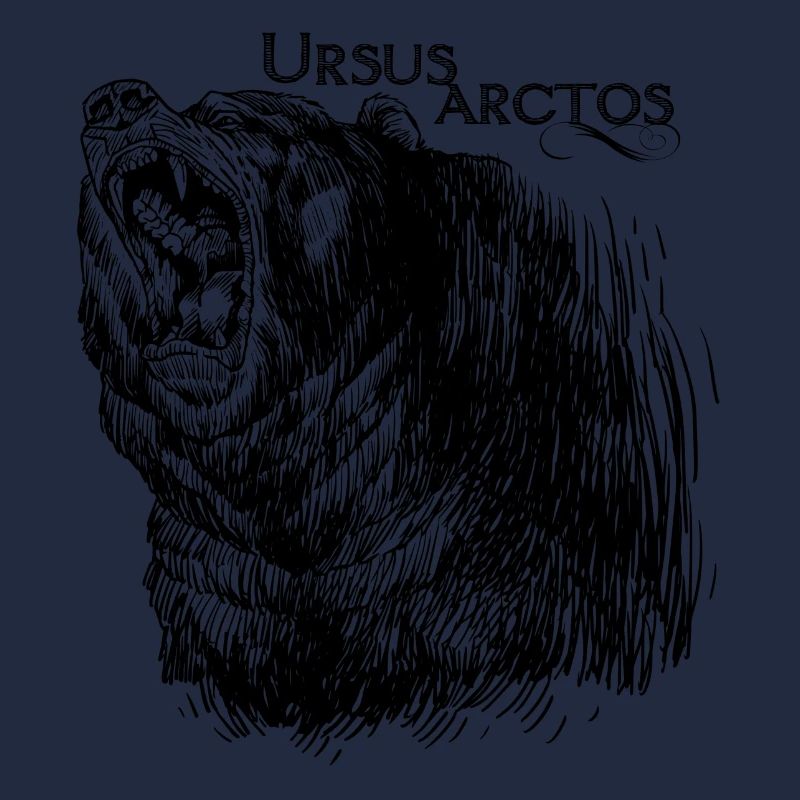 OURS BRUN