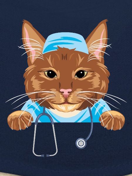 Mignon chat roux docteur
