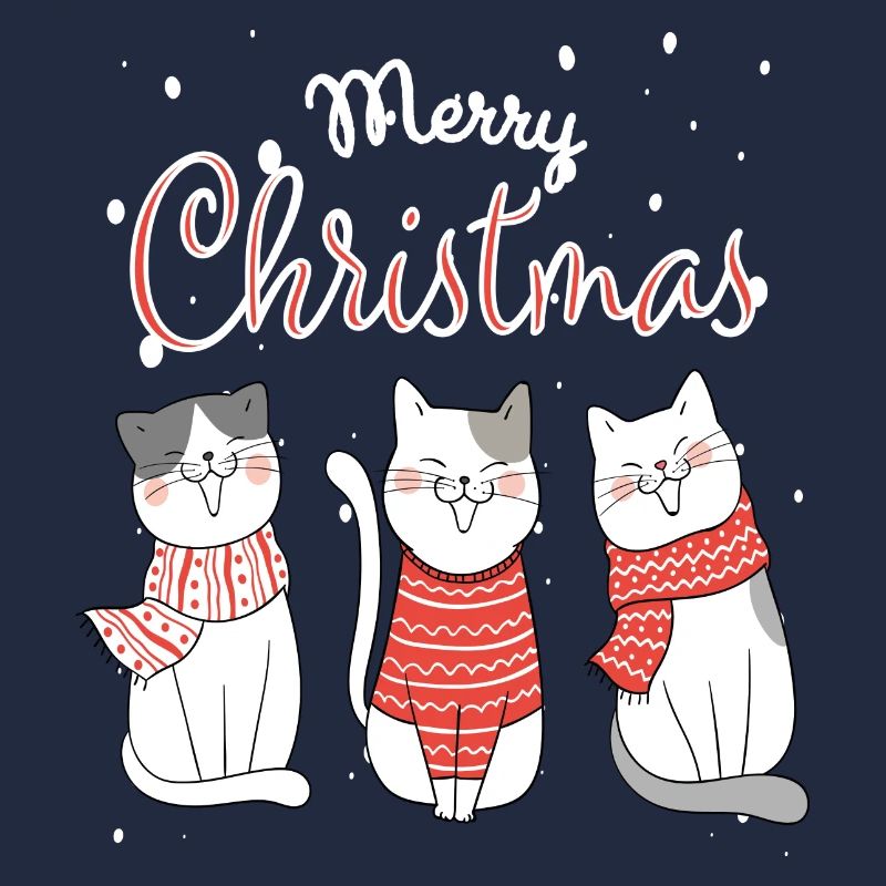 Chats, Chat de Noël, Chat de Noël, Chats