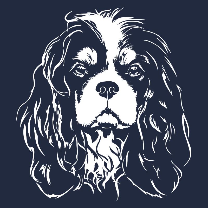 CAVALIER KING CHARLES SPANIEL Chiens Chiens Wilsigns