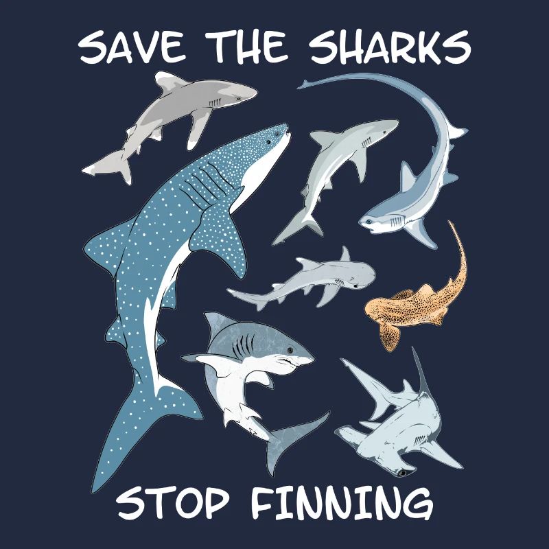 Types de requins Espèces de requins