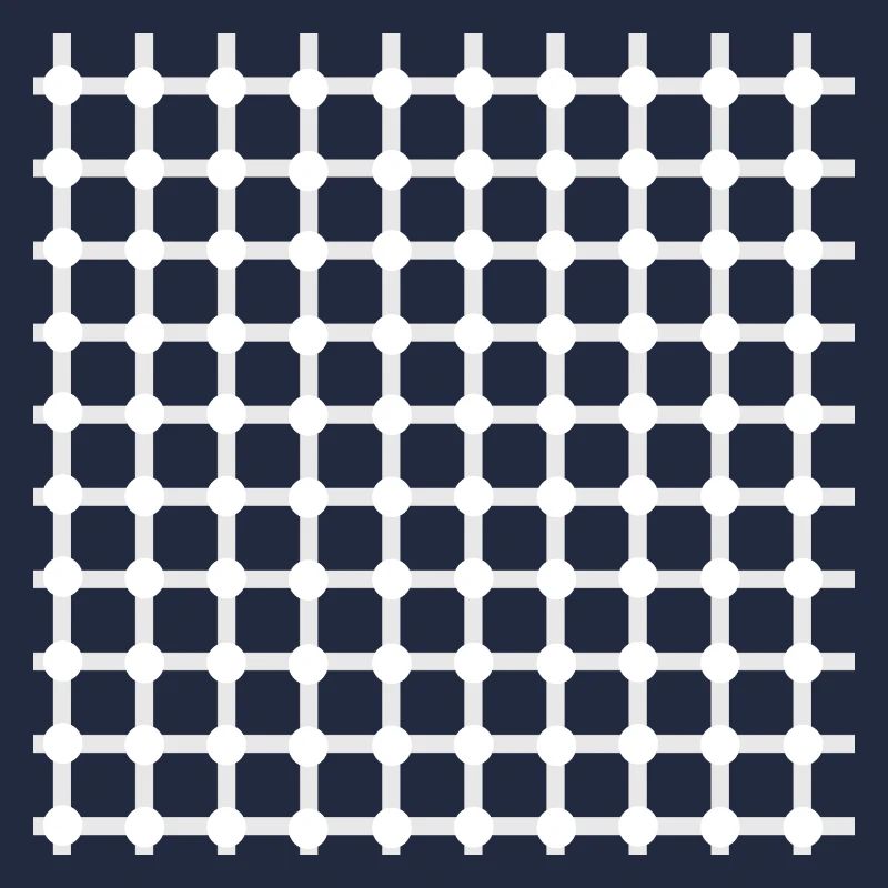 Hermann Grille Perception Illusion Optique Cadeau