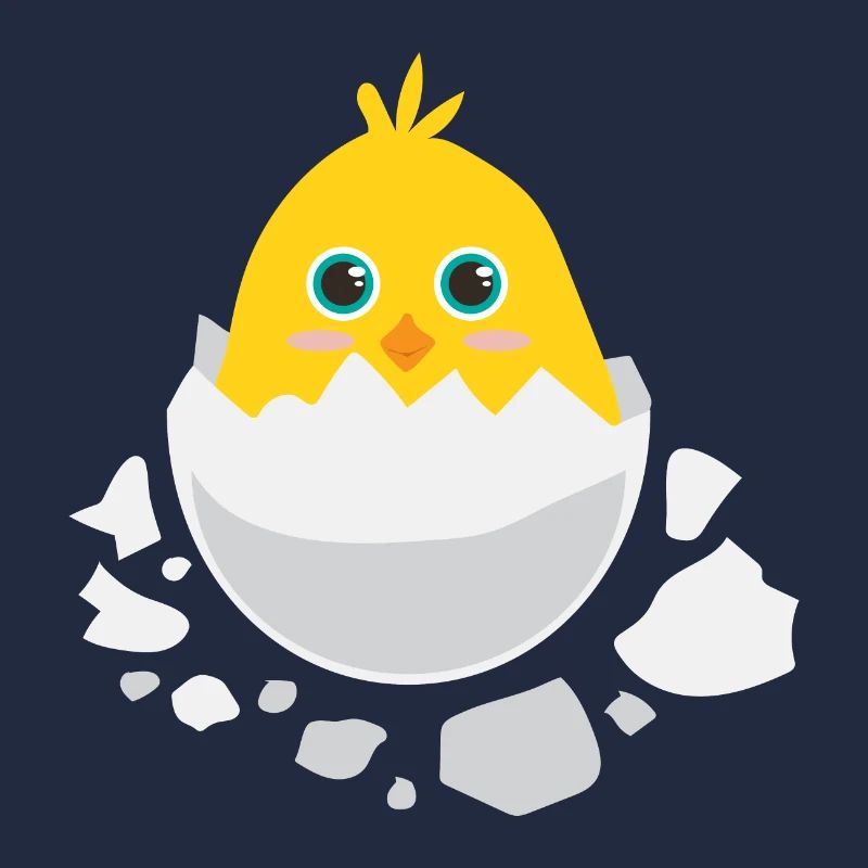 Baby chick hatching - Gift idea