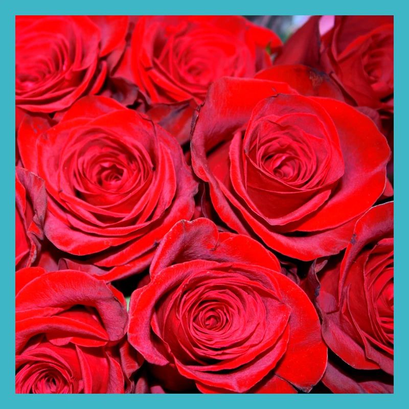 Handyhüllen mit Blume Muster