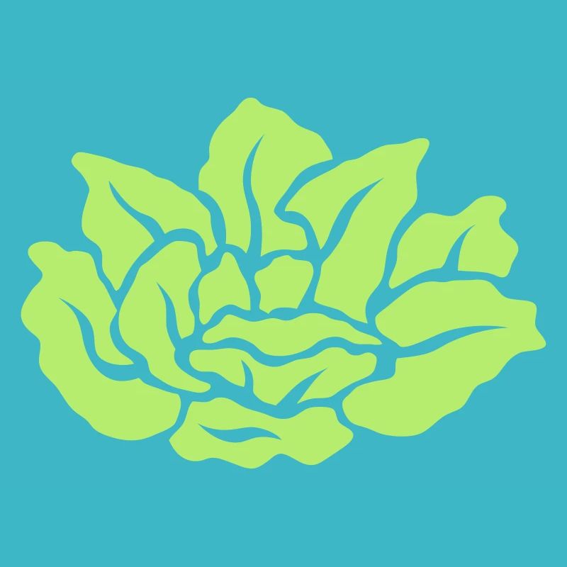 salad 27