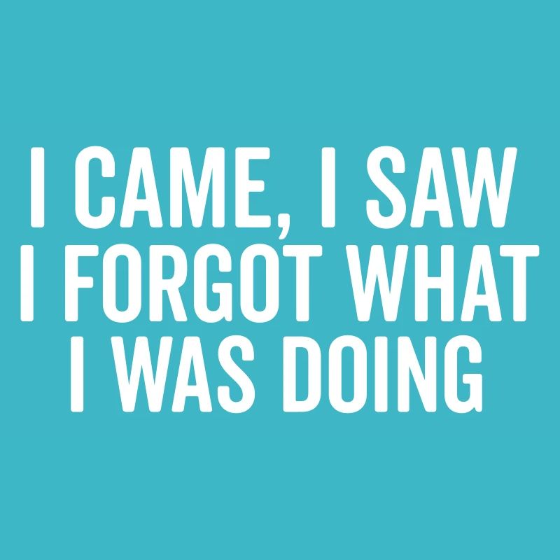 I came, I saw, I forgot what I was doing