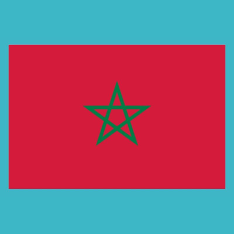 Drapeau Maroc / Moroccan flag