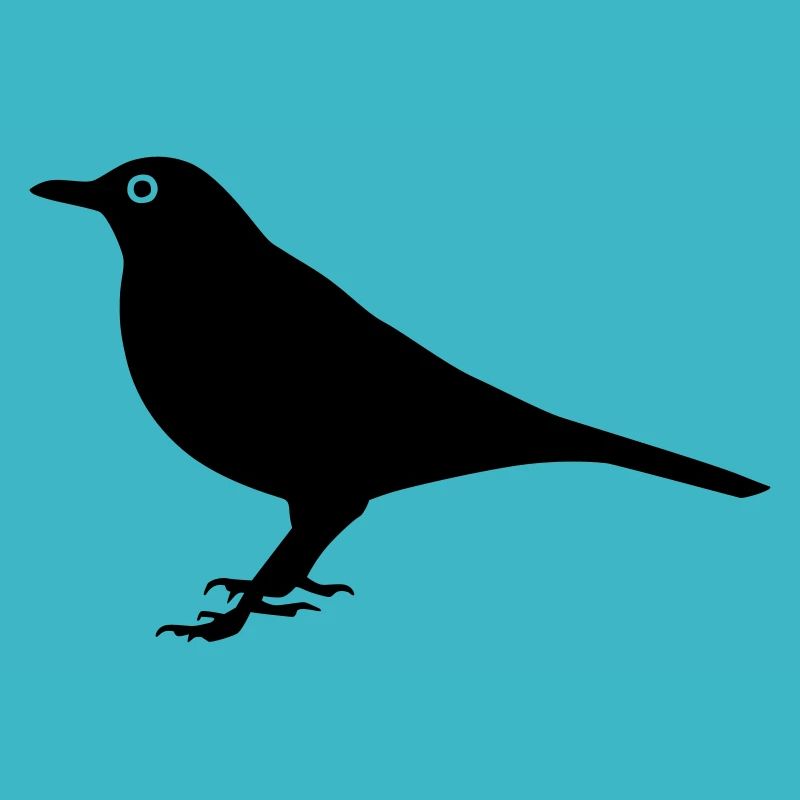 Oiseau Merle