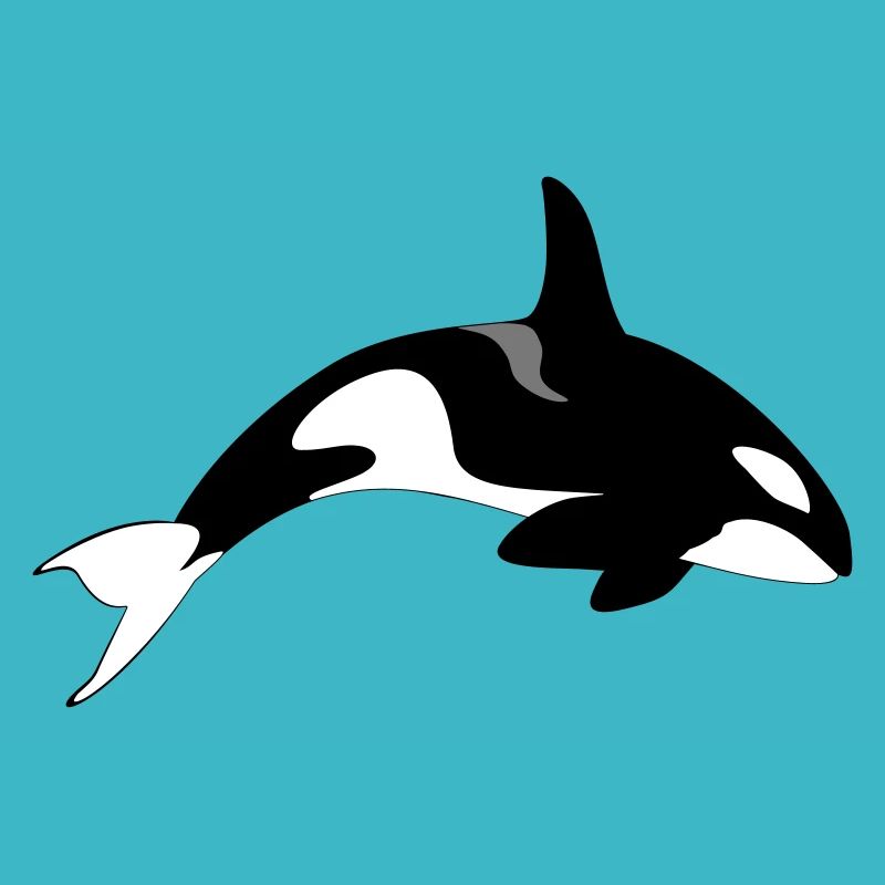 killer whale