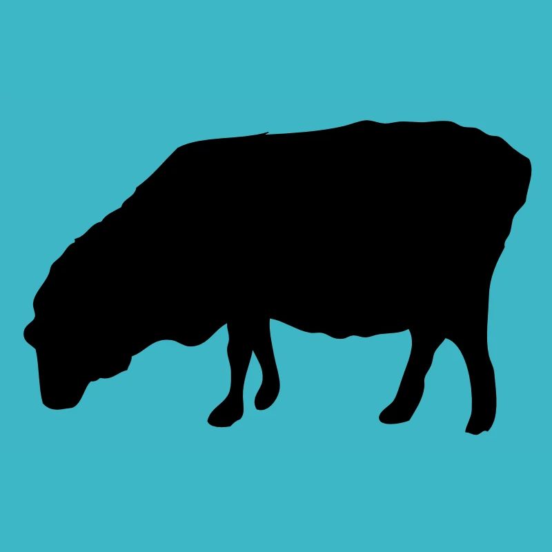 Schafe Schafe Silhouette Schatten Shadow1