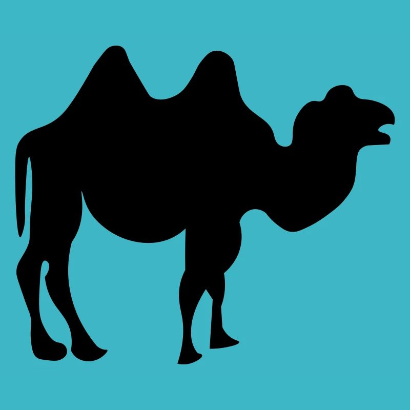 Camel design