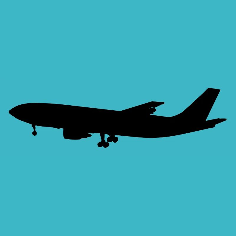 flugzeug - airplane
