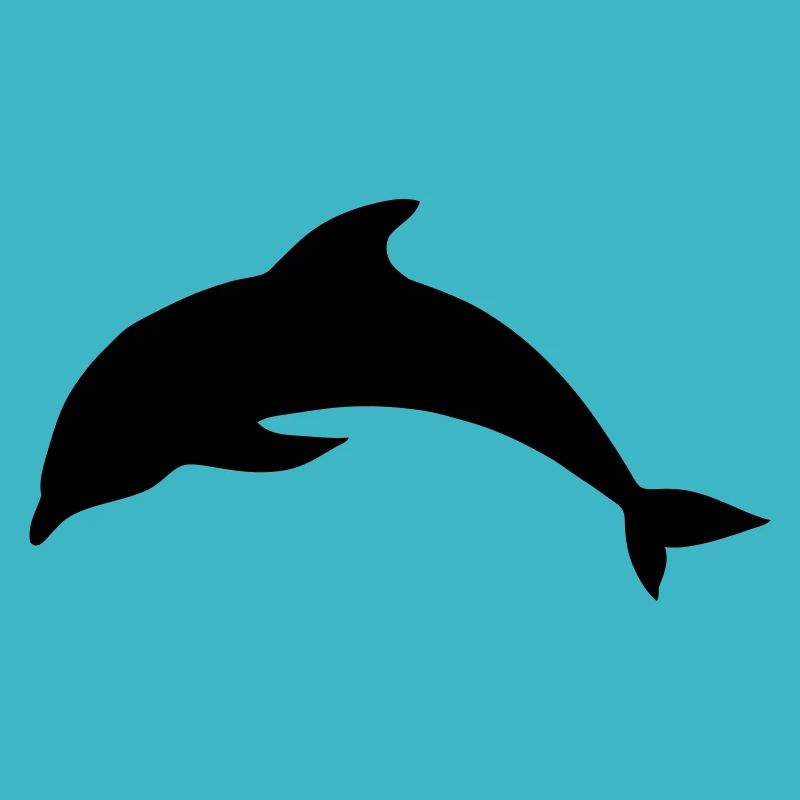Dolphin Animal Sea