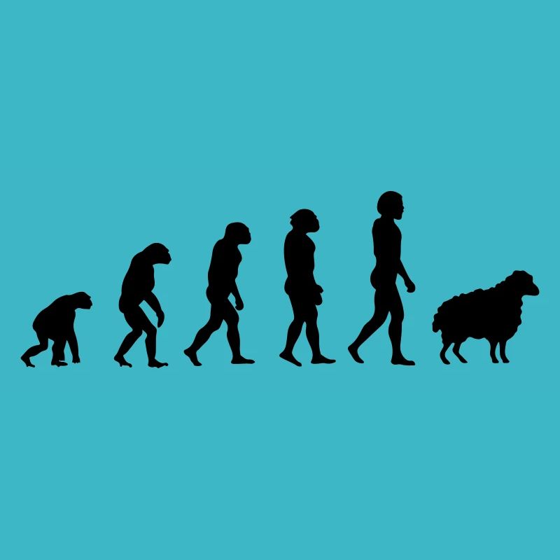 Darwin-Schafe