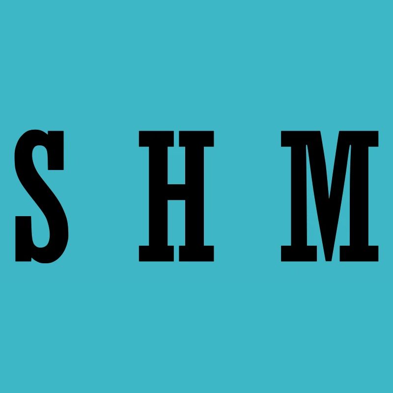 SHM Elektro Music Geschenk Geschenkidee