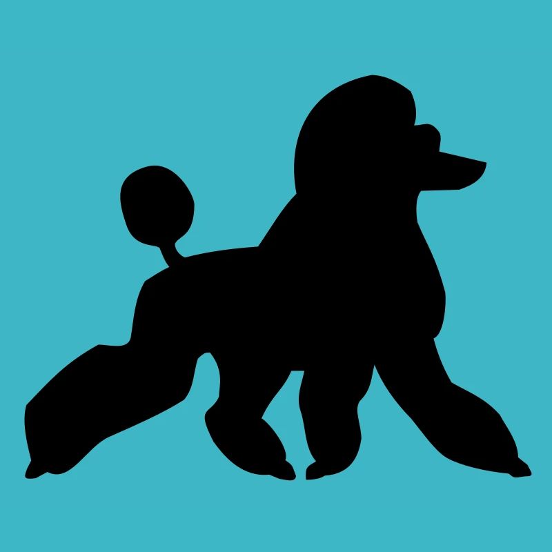 Poodle