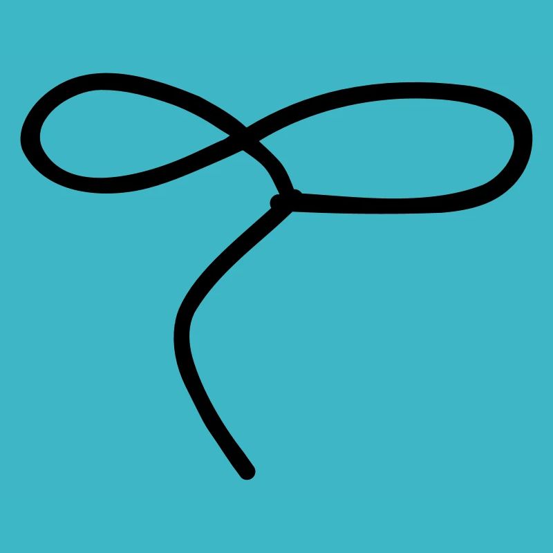 Lasso