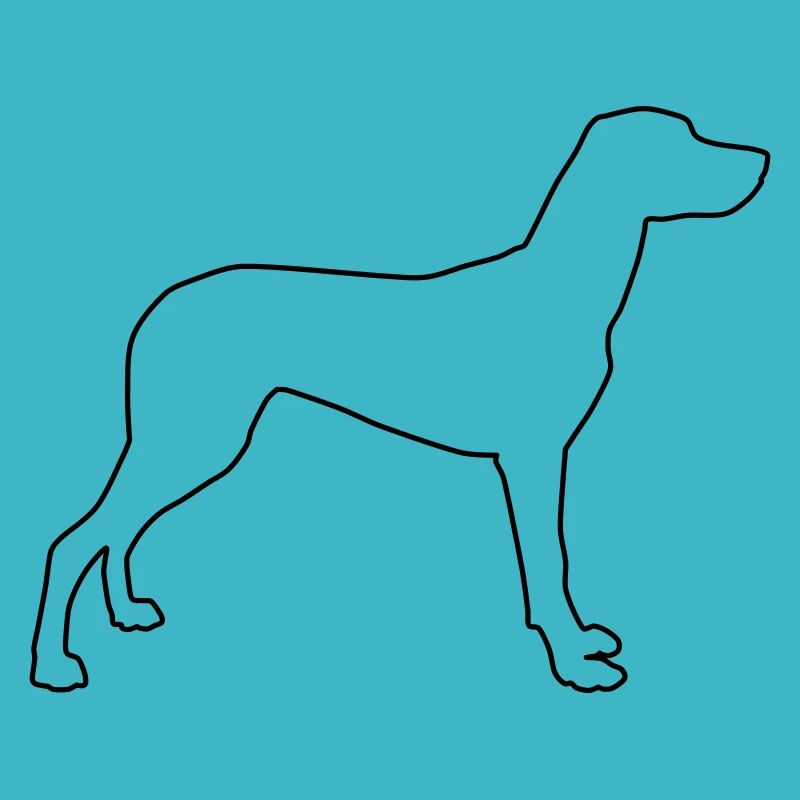 Vizla Contours 1