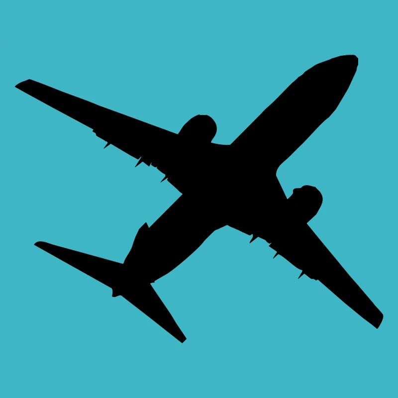 Flugzeug