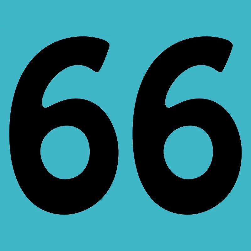66