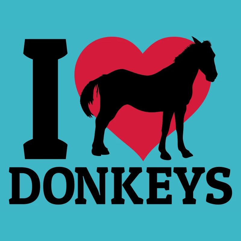 I love donkeys