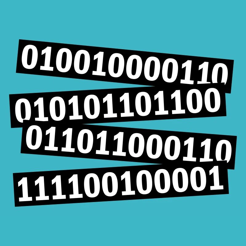 Langage de programme de code binaire