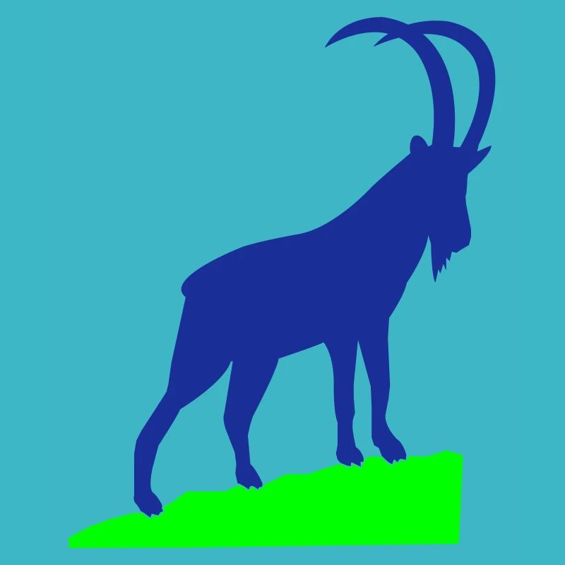 Capricorn