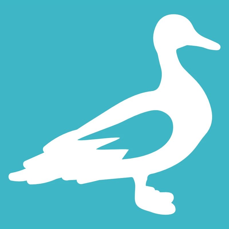 Duck Animal