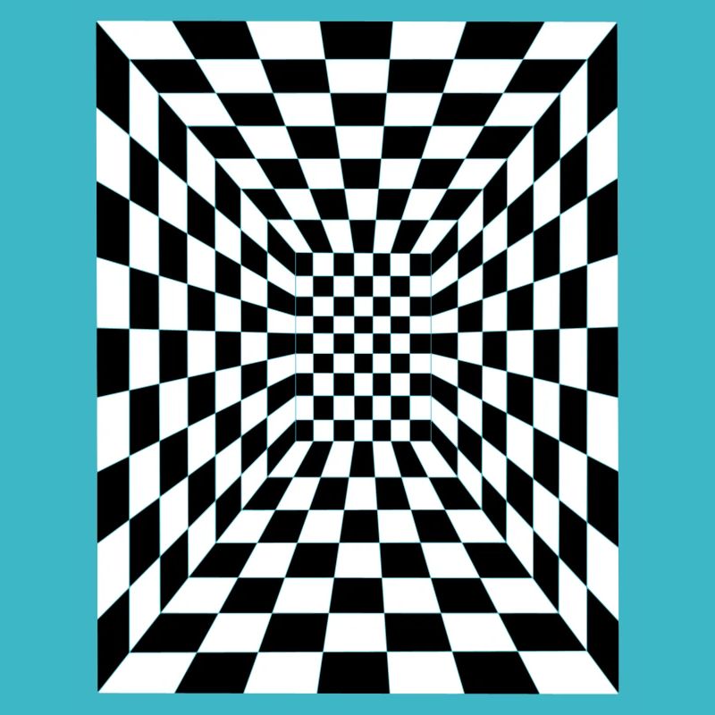optical illusion 17