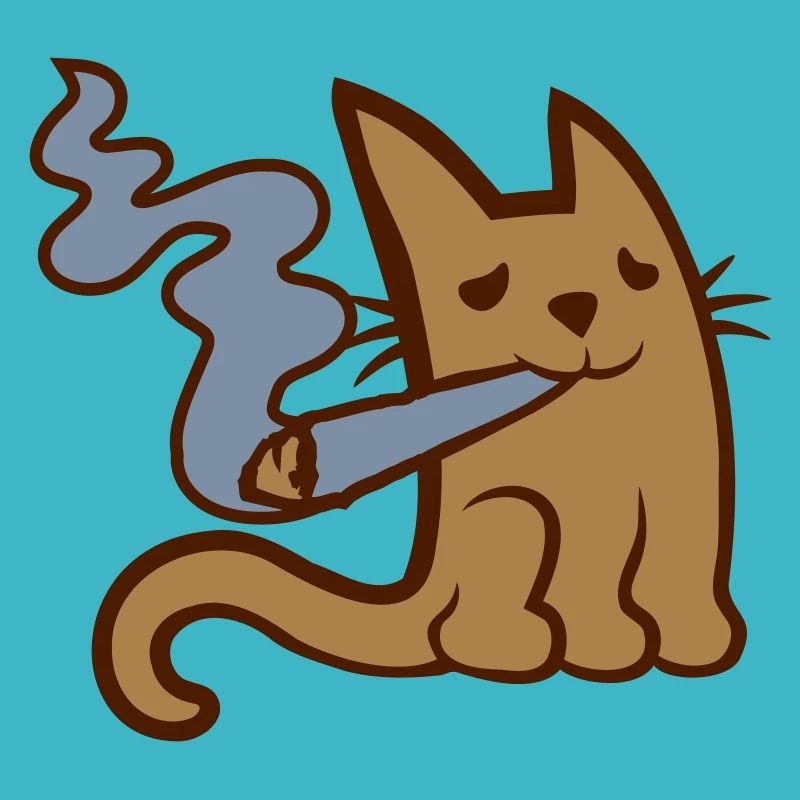 Fumer du pot mignon petit chat