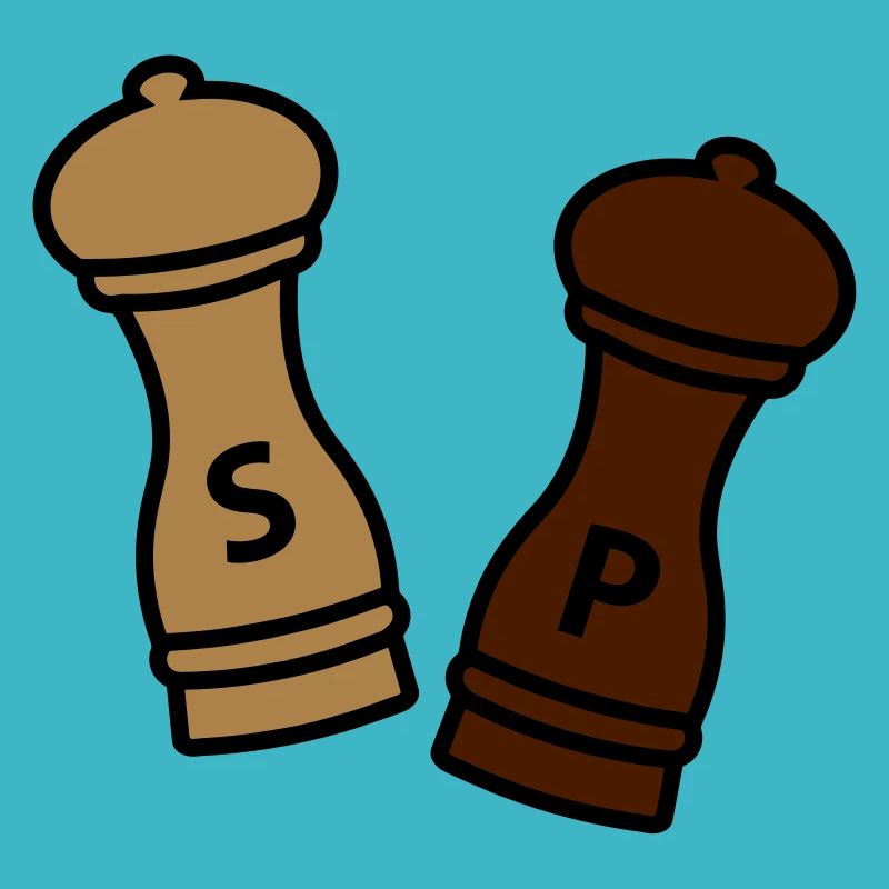 Salt and pepper / gift idea hobby chef / spice
